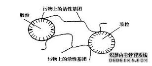 億家凈水_SHUI.CN